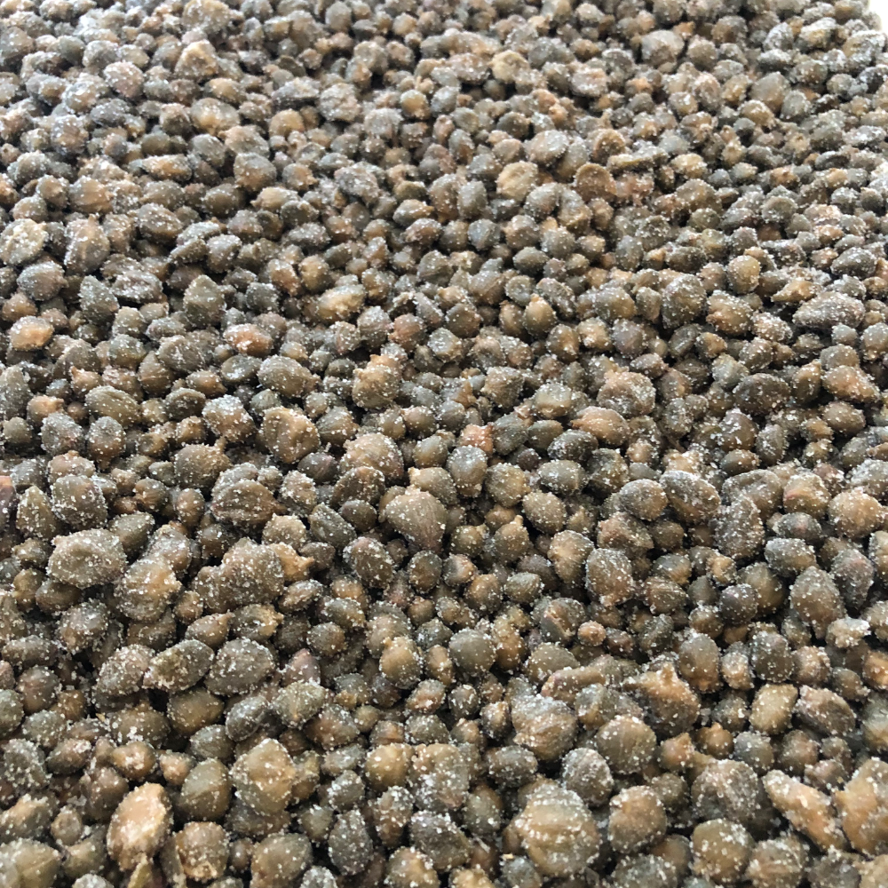 Capperi di Vulcano Biologici al Sale - 100g