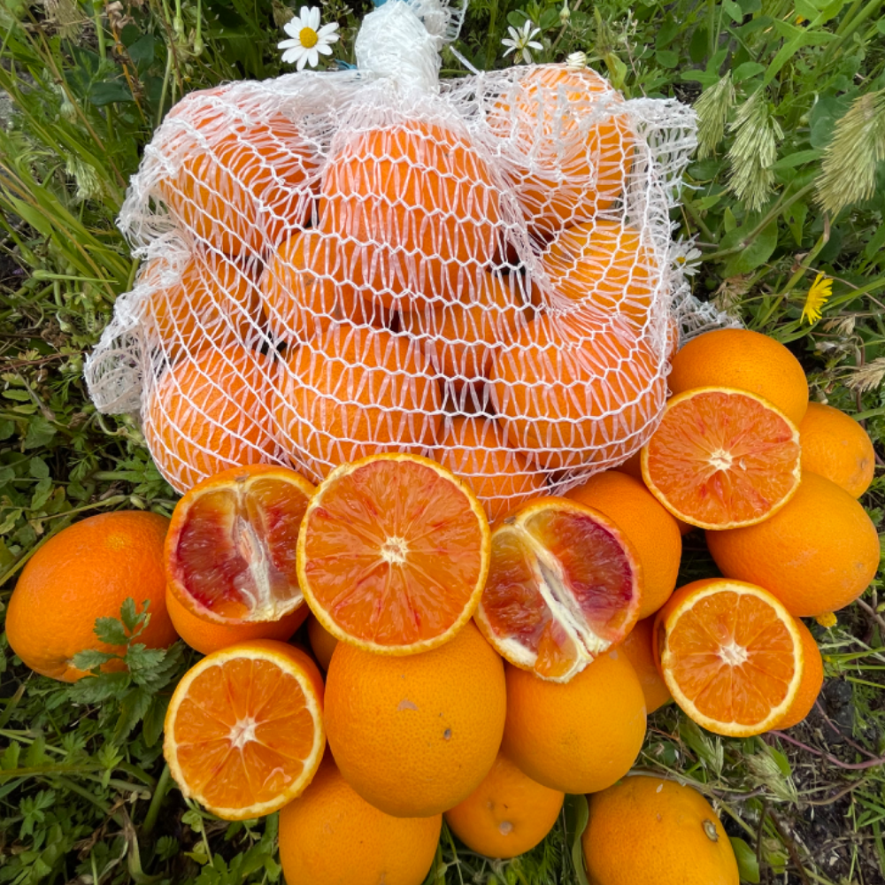 Arance Sanguinello BIO da Spremuta - 3kg