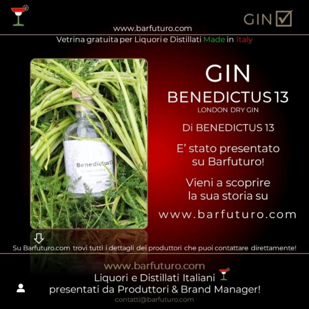 Gin London Dry "Benedictus13" - 50cl