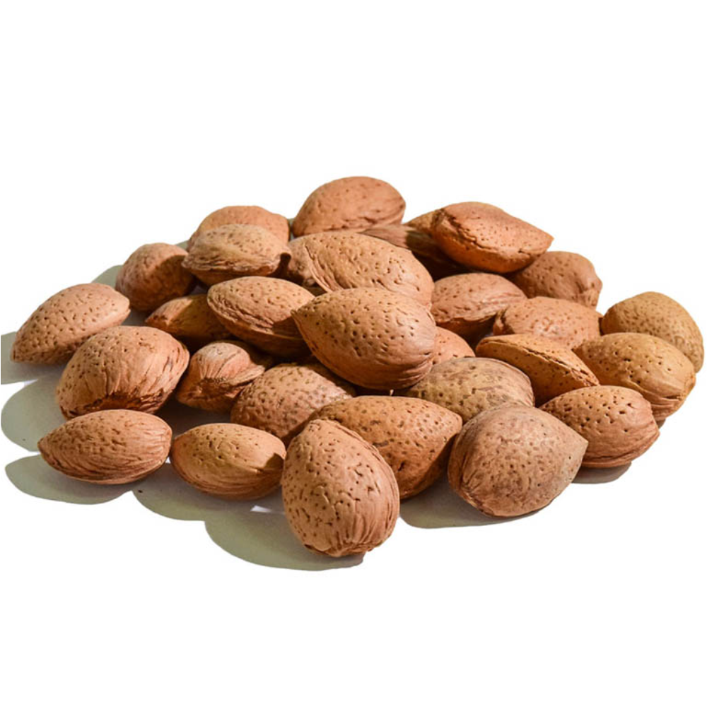 Mandorle Pugliesi Biologiche in Guscio - 5Kg