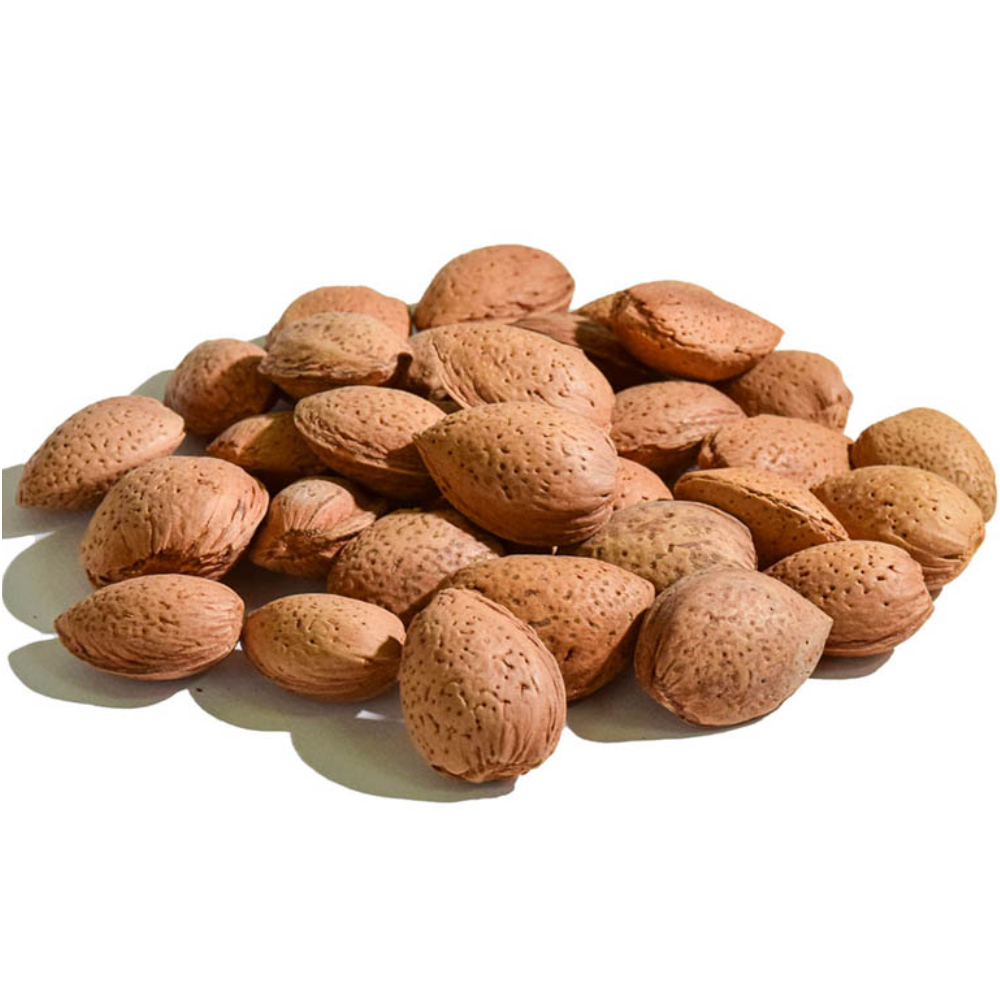 Mandorle Siciliane in Guscio Varietà Tuono - 1Kg, 5Kg, 10Kg o 15Kg