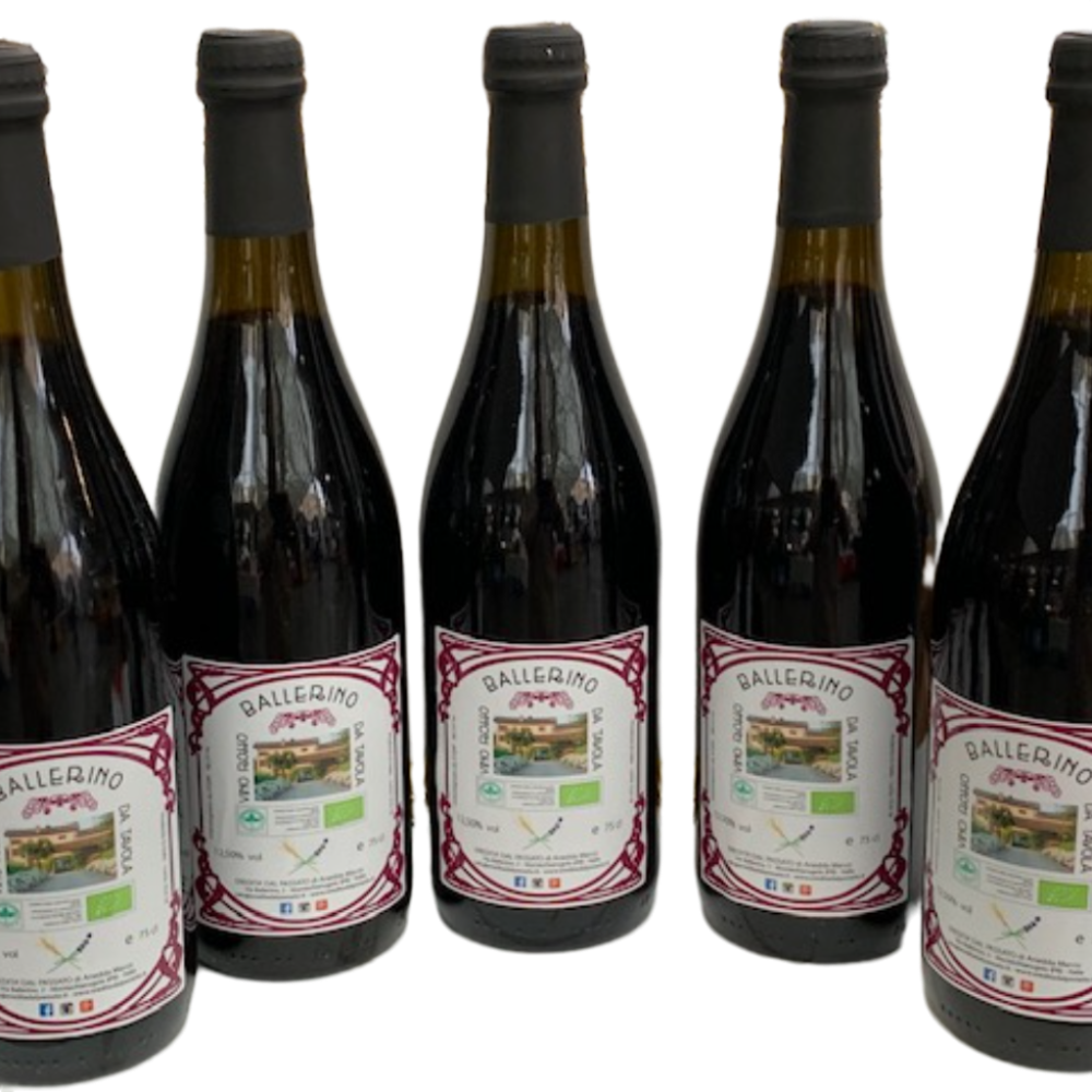 Vino Rosso Lambrusco Maestri e Barbera dell'Emilia BIO Senza Solfiti - 75cl