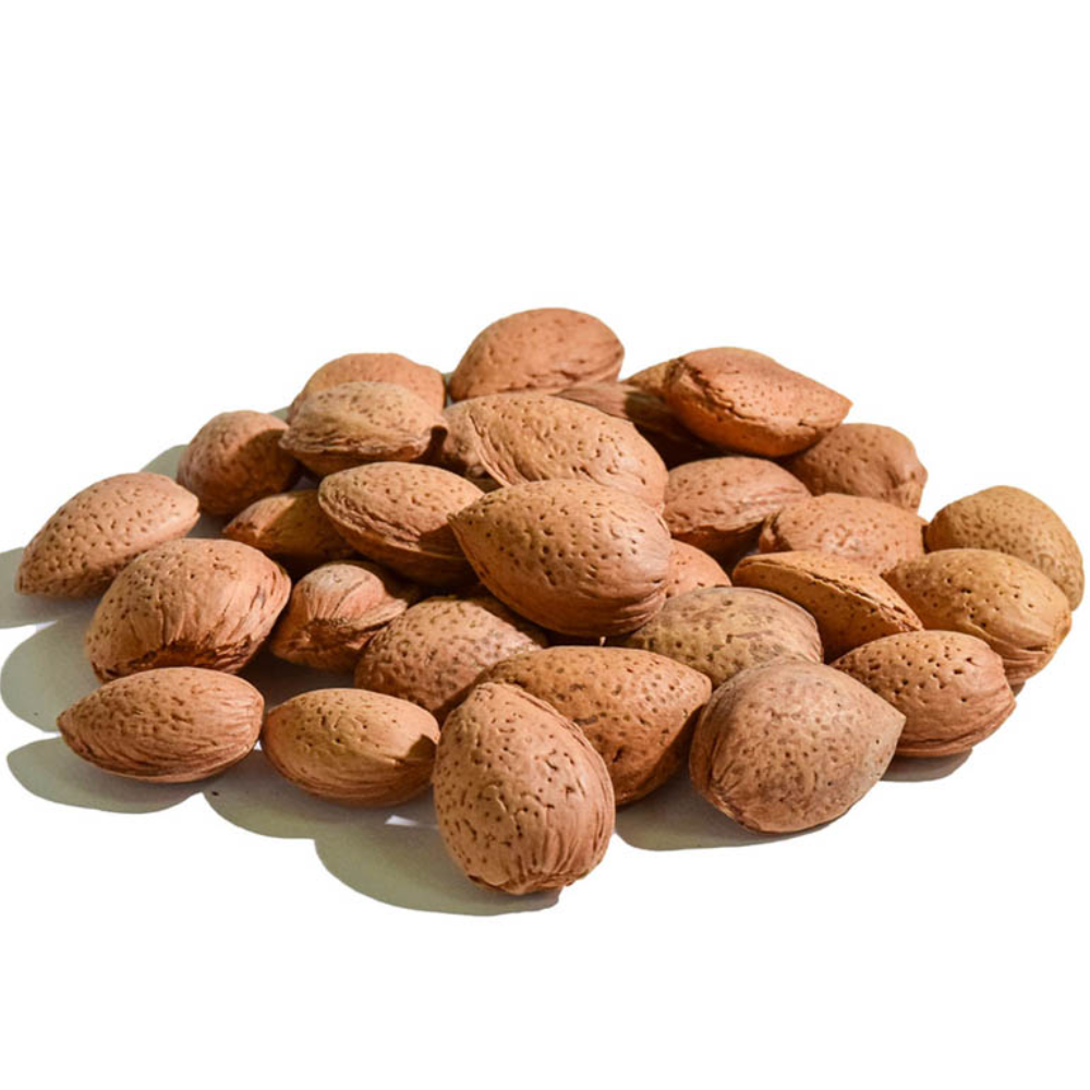Mandorle Siciliane Biologiche in Guscio - da 500g o 1kg