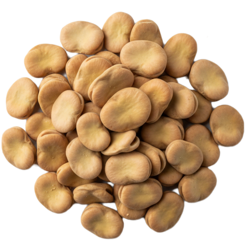 Fave Secche delle Murge - 400g