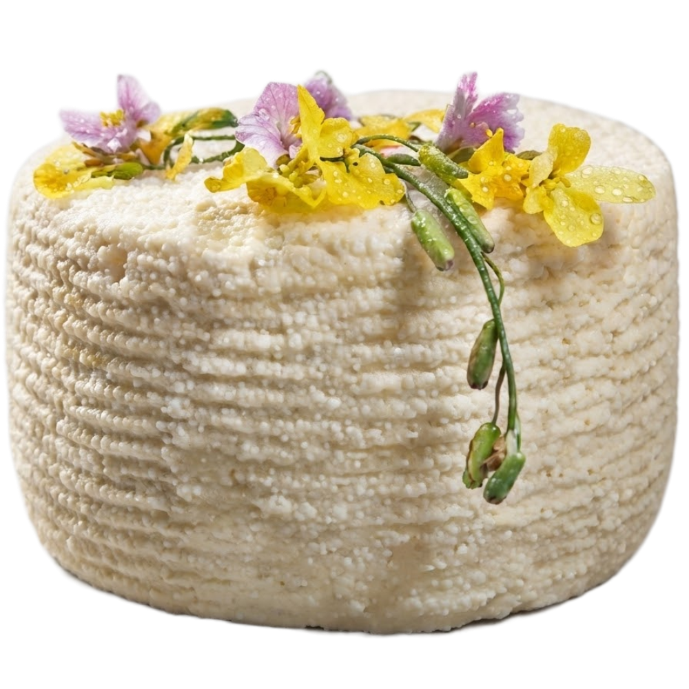 Formaggio 1° Sale di Capra Girgentana "Nedda Presidio SlowFood" - 1Kg