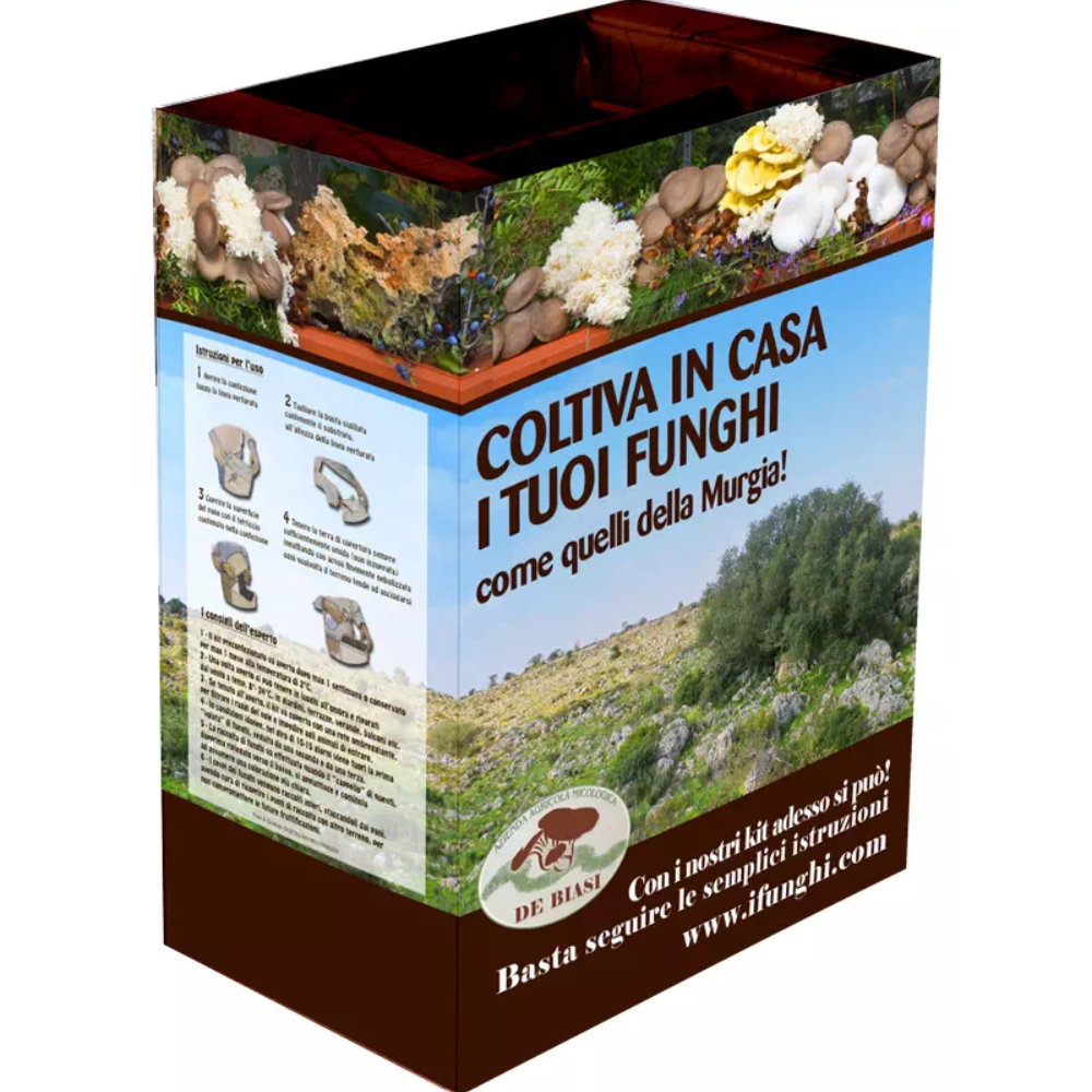 6 Kit per coltivare i Funghi Cardoncelli della Murgia: 6 Ballette + 6 Buste di Terriccio