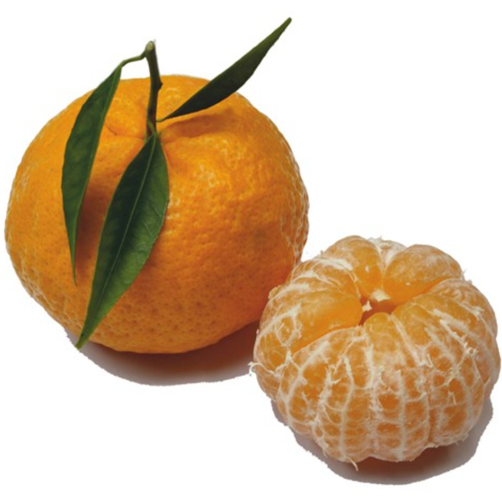 Mandarini Marzulli Siciliani Biologici - 12kg
