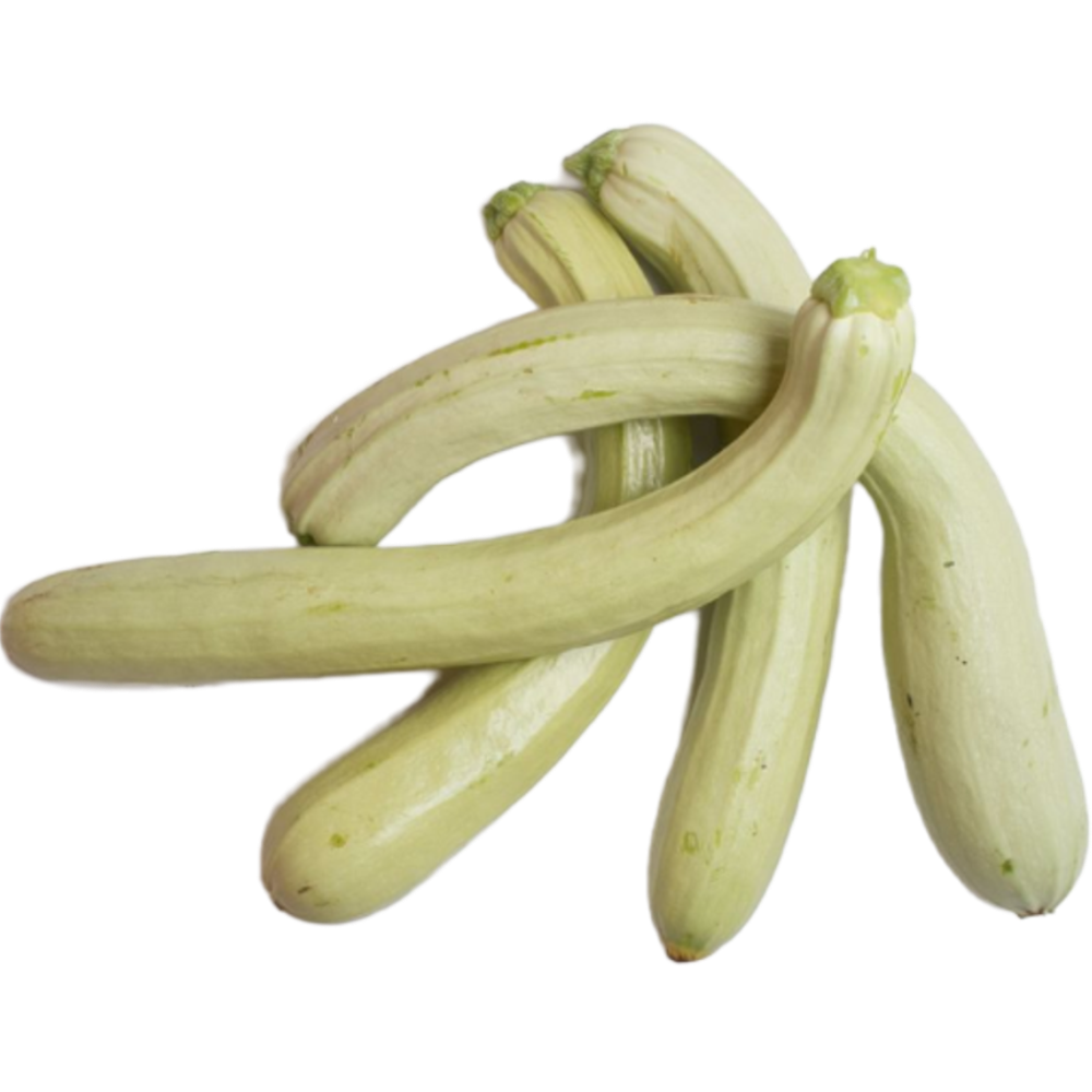 Zucchina Napoletana da Frittura - 500g