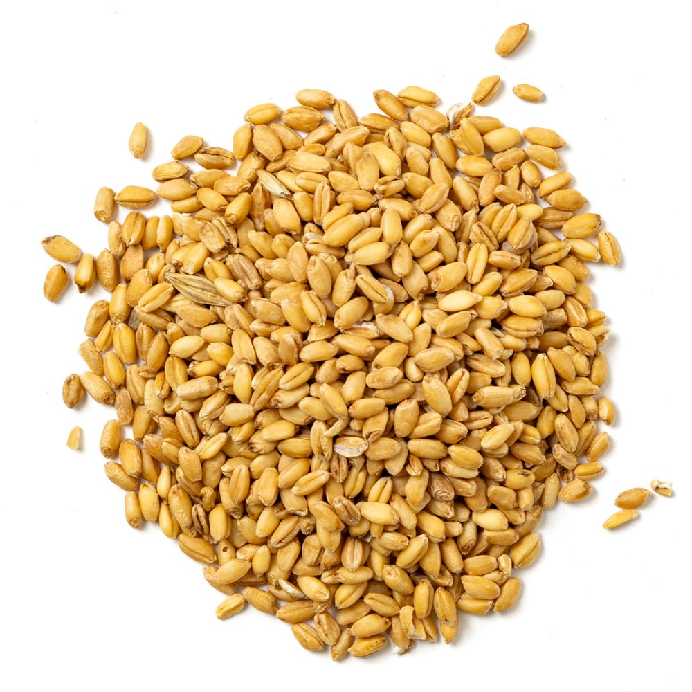 Grano Maiorca Biologico Siciliano - 500g