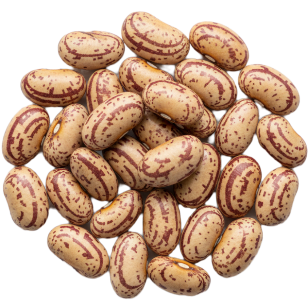 Fagioli Borlotti delle Murge - 400g