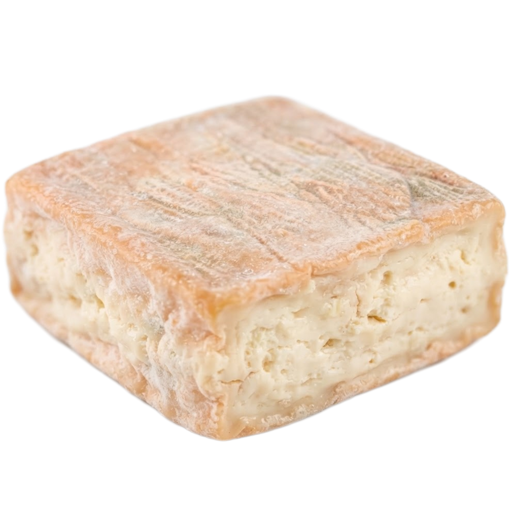 Formaggio Taleggio di Capra Girgentana "Presidio SlowFood" - 700g