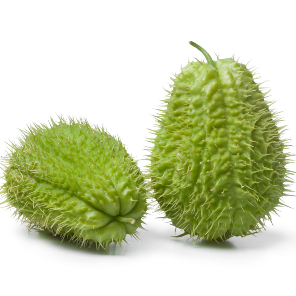 Zucchina Centenaria - 1Kg