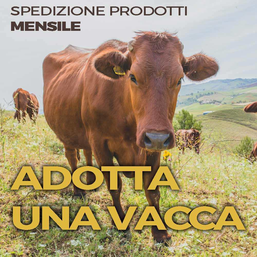 Adotta una Vacca Modicana: Per te una BOX di 2Kg di Formaggi ogni mese