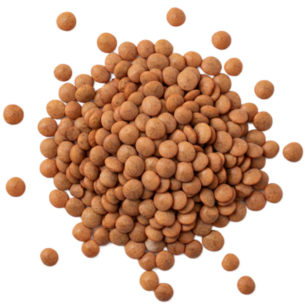 Lenticchie delle Murge - 400g