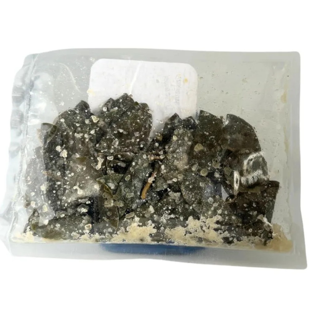 Foglie di Cappero di Salina (Isole Eolie DOP) al Sale Marino - 100g