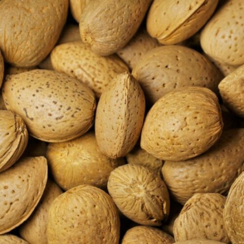 Mandorle in Guscio Varietà "Tuono" - 1Kg, 5Kg o 10Kg