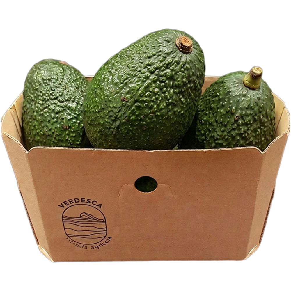 Avocado Hass Siciliano - 1Kg