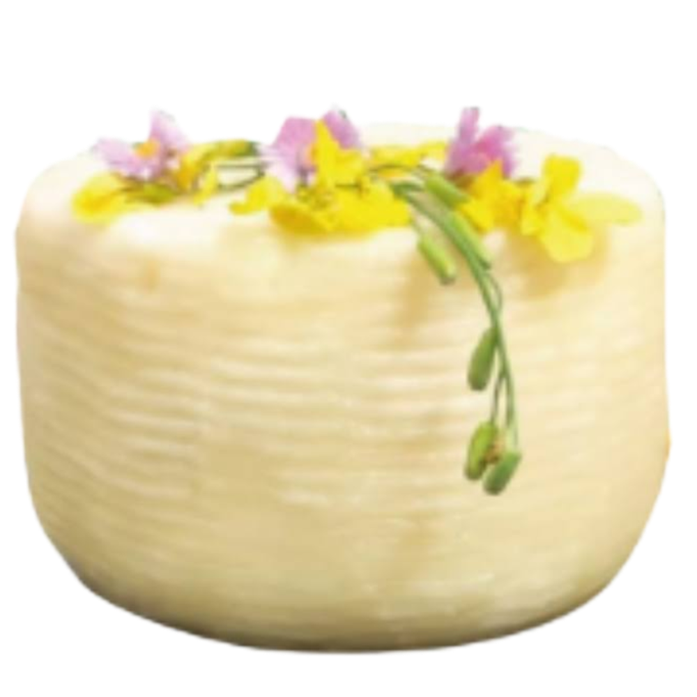 Formaggio 1° Sale "Nedda" di Capra Girgentana "Presidio SlowFood" - 1Kg
