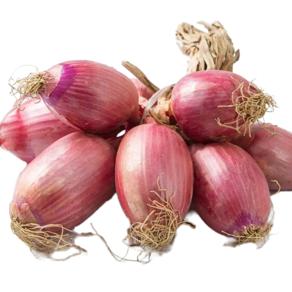 Cipolla Ramata Dolce - 9Kg