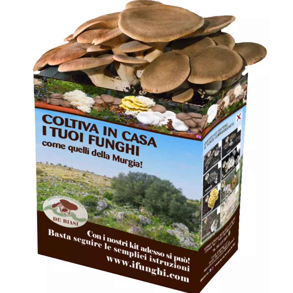 3 Kit per coltivare i Funghi Cardoncelli - 3 Ballette da 5Kg + 3 Buste di Terriccio