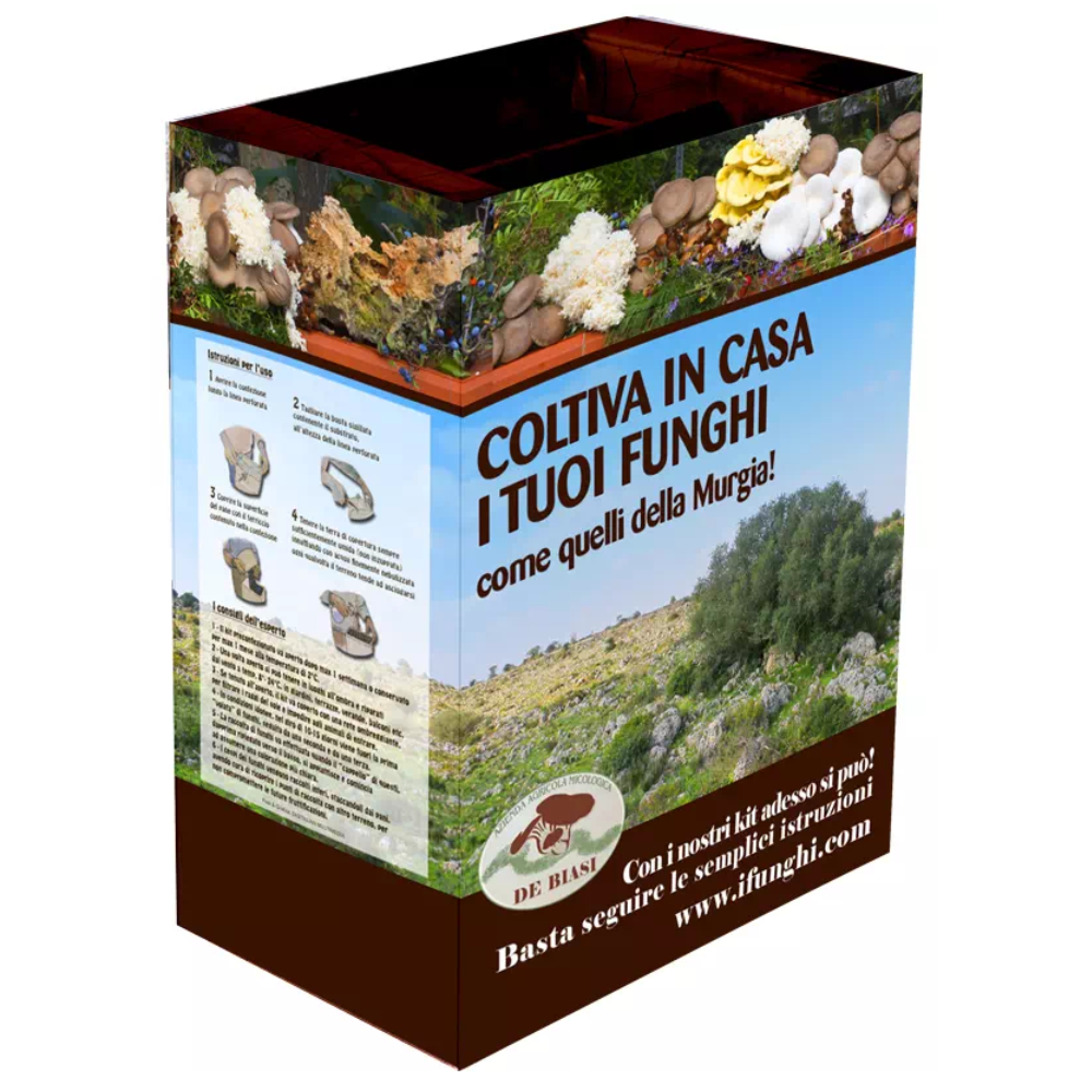 Kit per coltivare i Funghi Cardoncelli della Murgia: Balletta + Busta di Terriccio