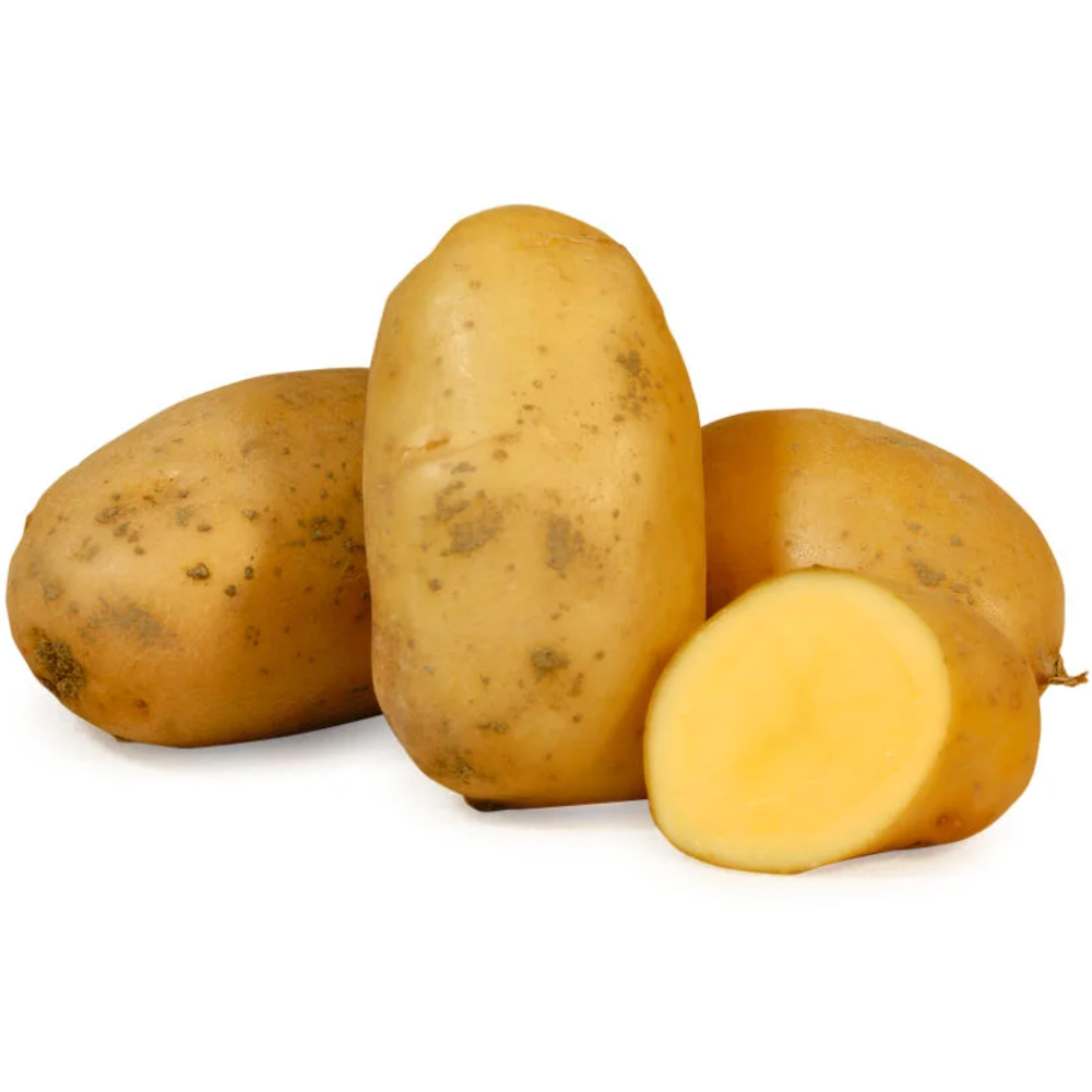 Patate a Pasta Gialla di Montagna - 9Kg