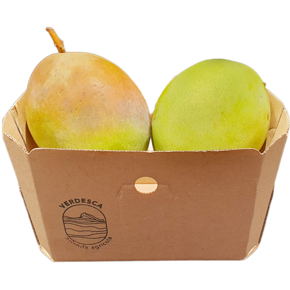 Mango Kent Siciliano - 1Kg