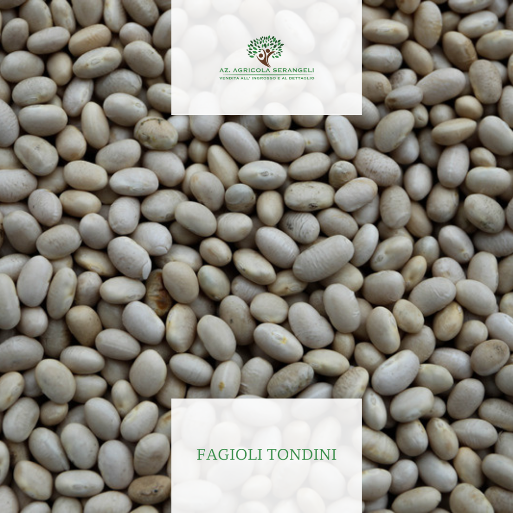 Fagioli Tondini - 1Kg o 5Kg