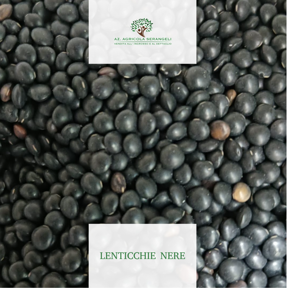 Lenticchie Nere Italiane - 3kg o 5kg