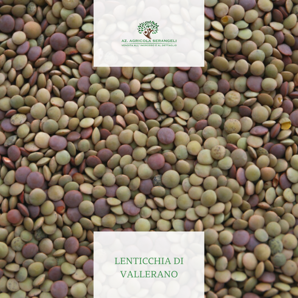 Lenticchie di Vallerano - 1kg o 5kg