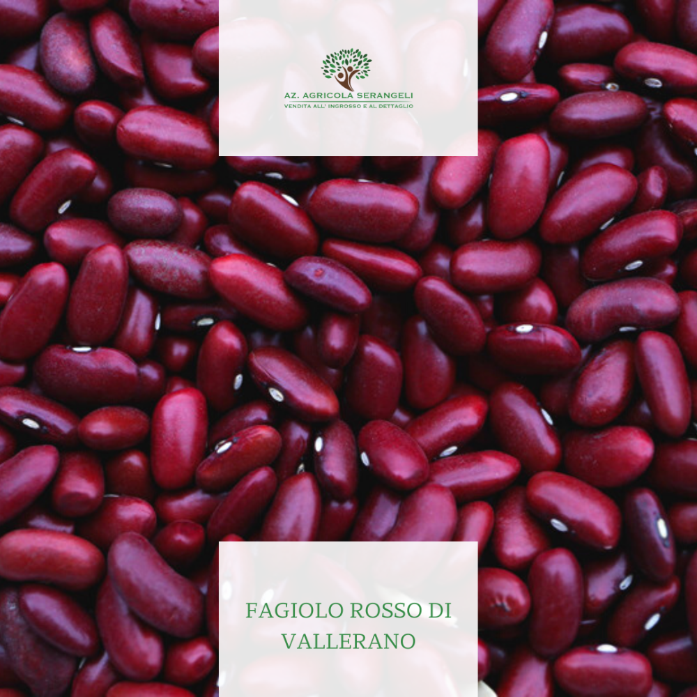 Fagioli Rossi di Vallerano - 1Kg o 5Kg