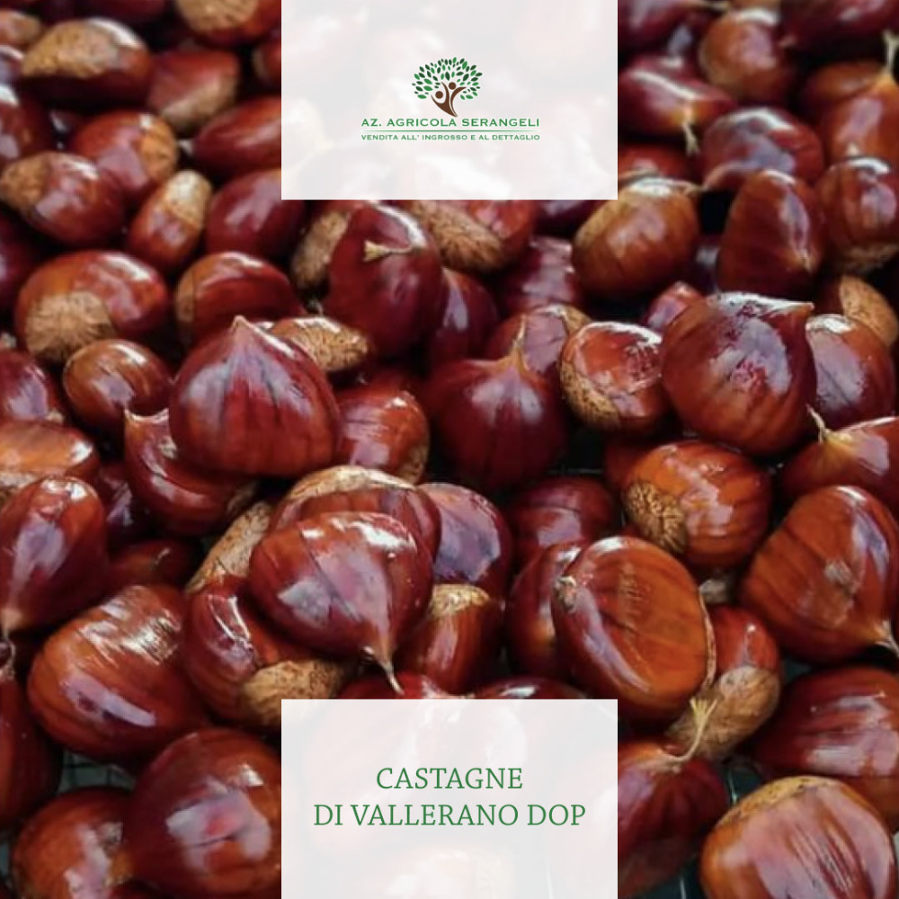 Castagne di Vallerano DOP - 5Kg o 10Kg