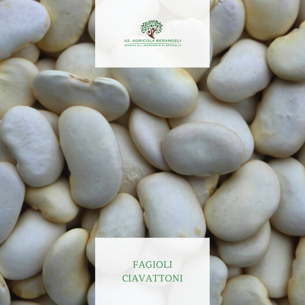 Fagiolo Ciavattone - 1kg o 5kg