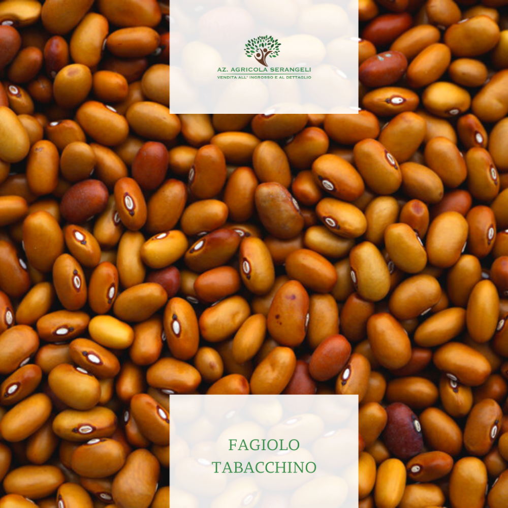 Fagiolo Tabacchino di Vallerano - 1Kg o 5Kg