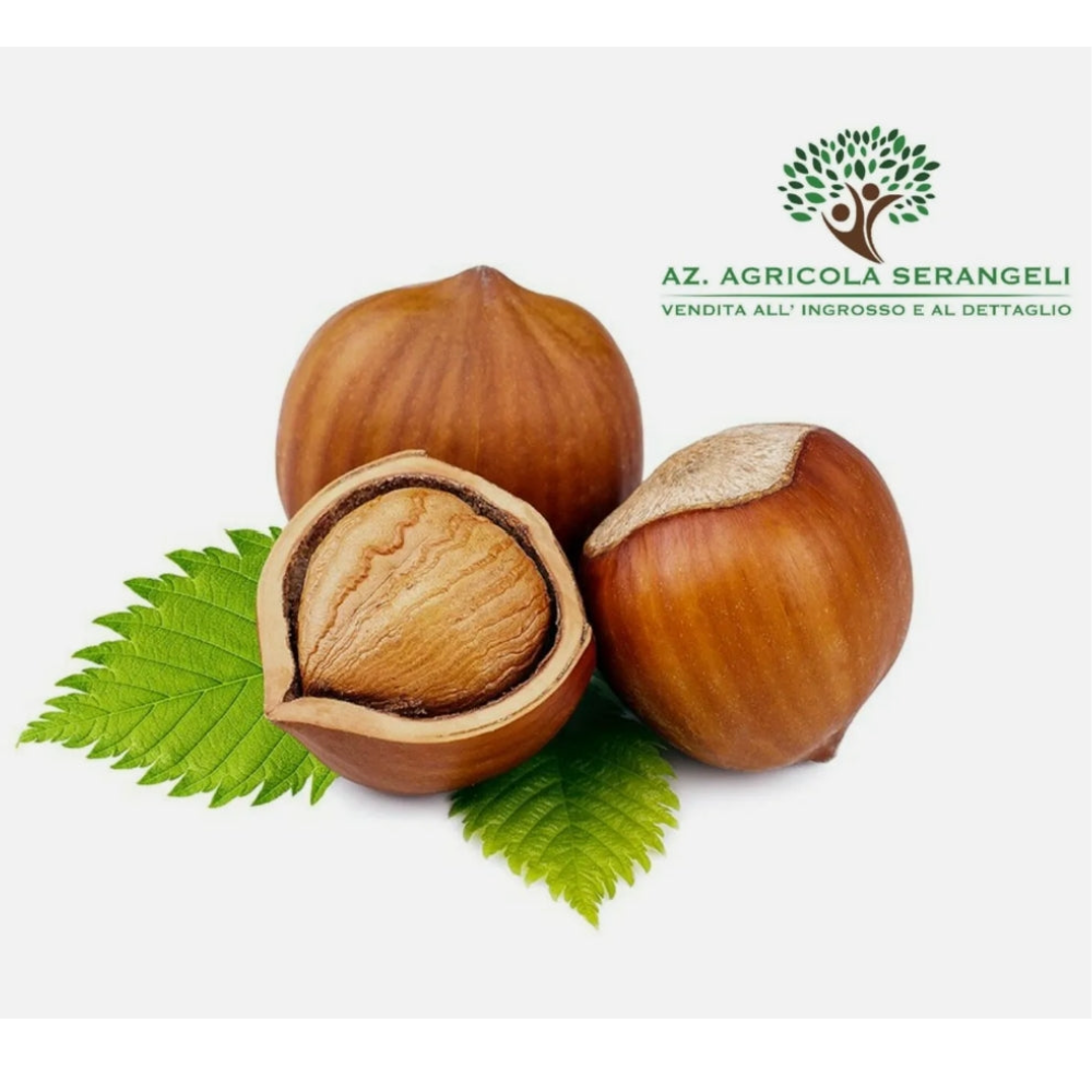 Nocciole Sgusciate Crude Varietà Gentile Romana - 3kg o 5kg