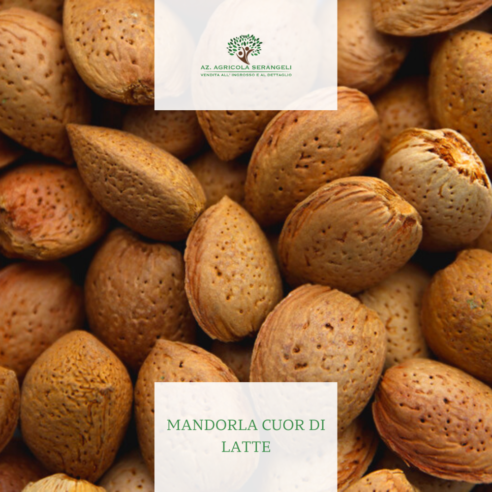 Mandorle in Guscio Varietà Tuono - 3kg o 6kg
