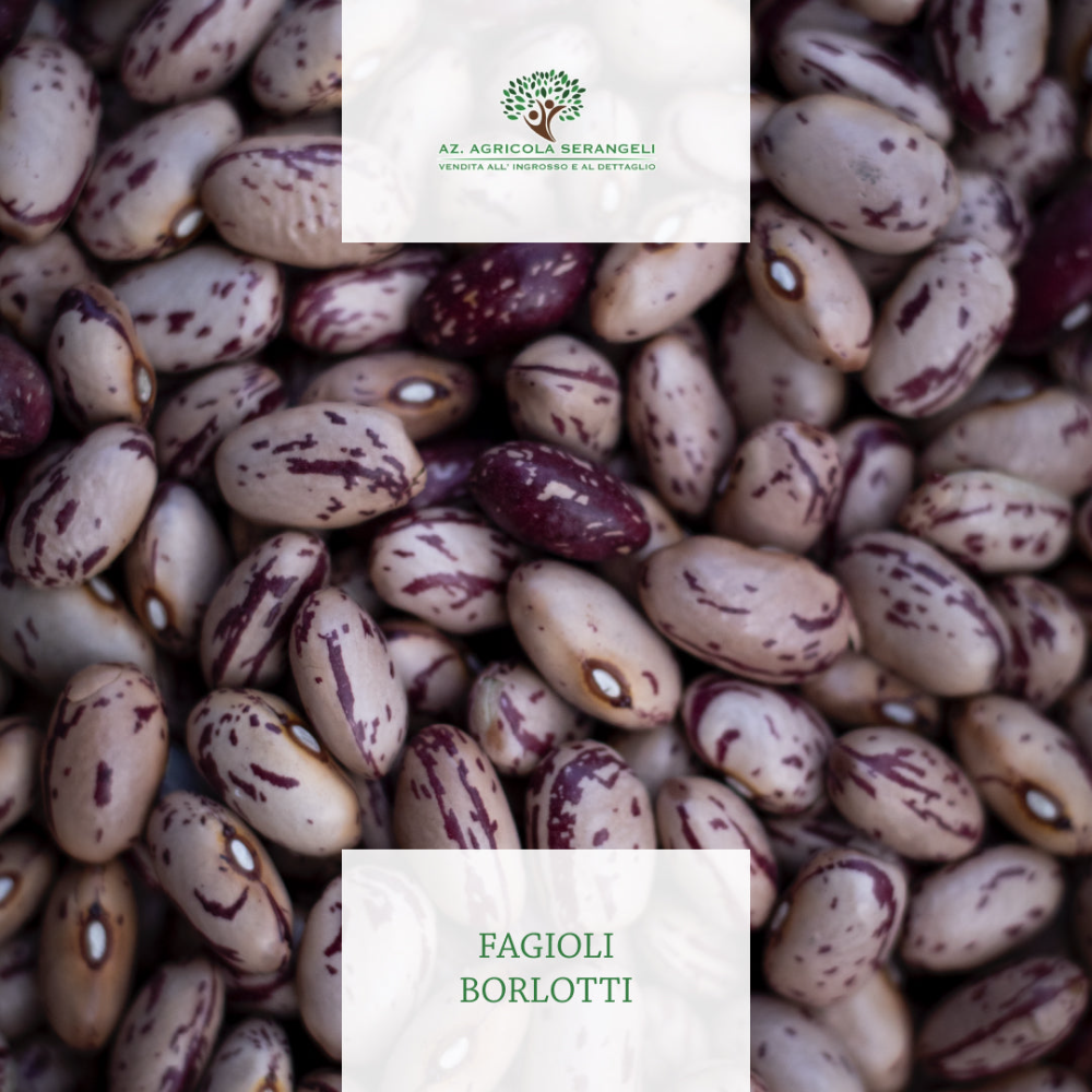 Fagioli Borlotti - 1Kg o 5Kg