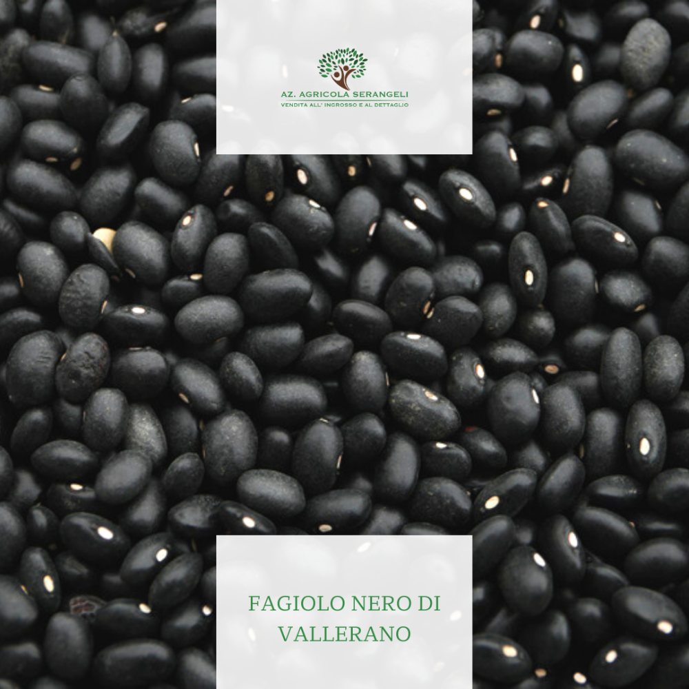 Fagioli Neri di Vallerano - 1Kg o 5Kg