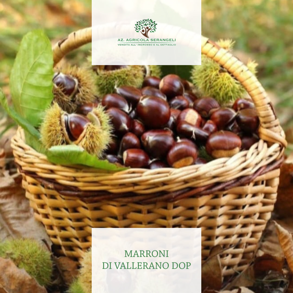 Marroni di Vallerano DOP - 5Kg o 10Kg