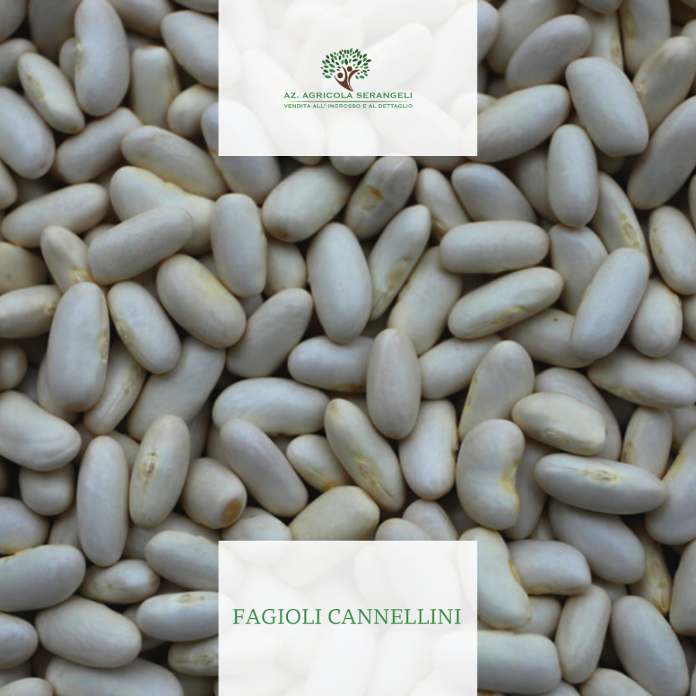 Fagioli Cannellini - 1Kg o 5Kg