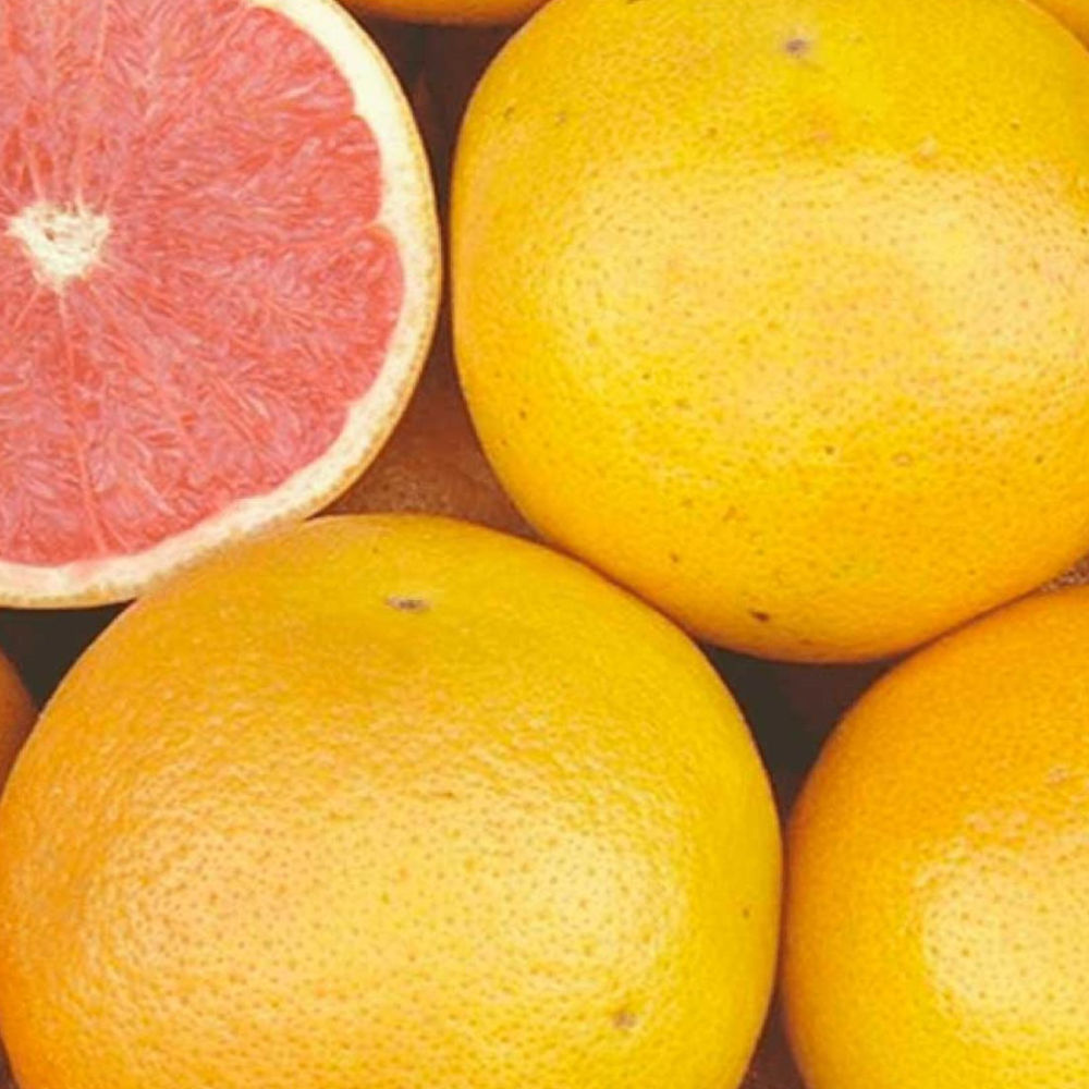 Pompelmi Rosa Siciliani Biologici - 10Kg