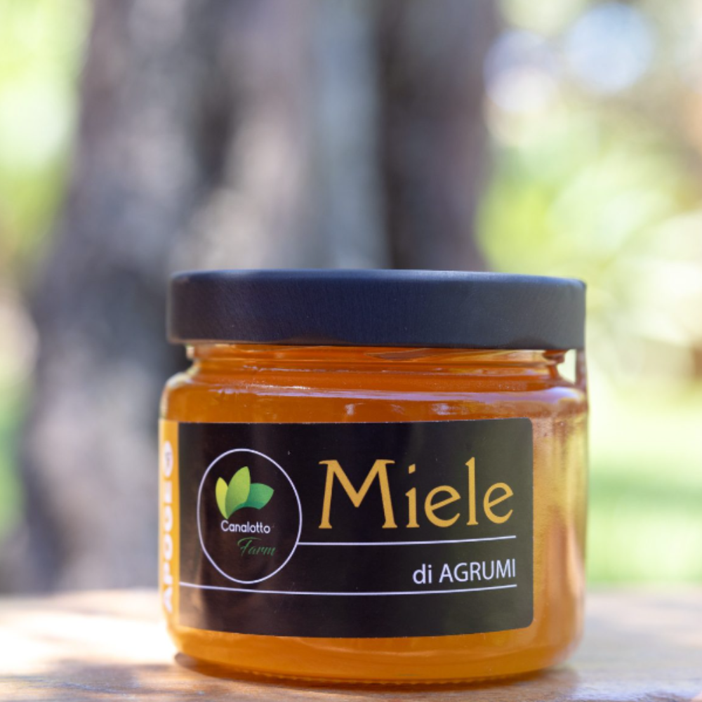 Miele di Agrumi - 6pz da 350g