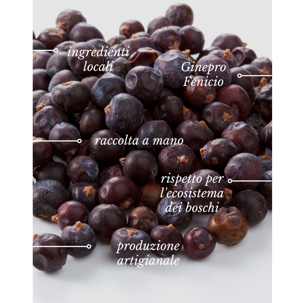 Gin Selvatico di Sardegna
