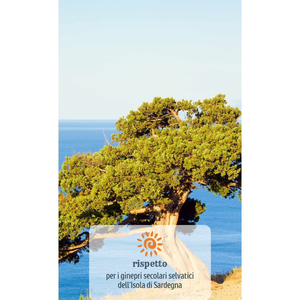 Gin Selvatico di Sardegna