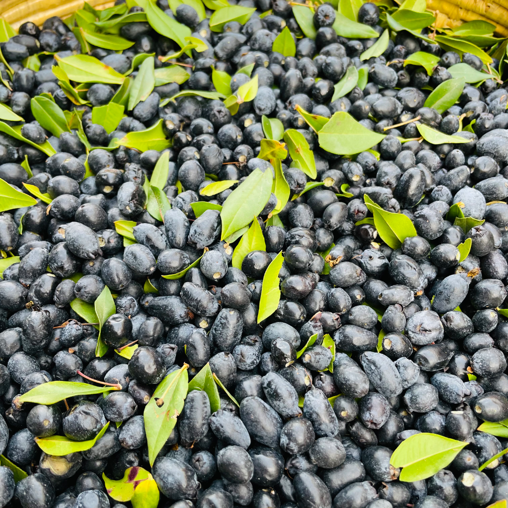 Liquore al Mirto Selvatico di Sardegna - 50cl