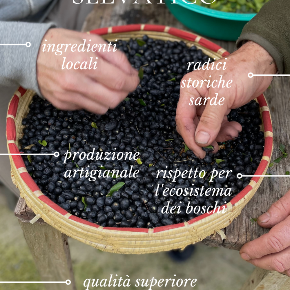 Liquore al Mirto Selvatico di Sardegna - 50cl