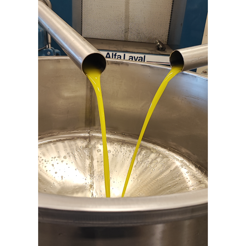 Olio Extravergine di Oliva Biologico Calabrese - Bottiglia da 75 cl