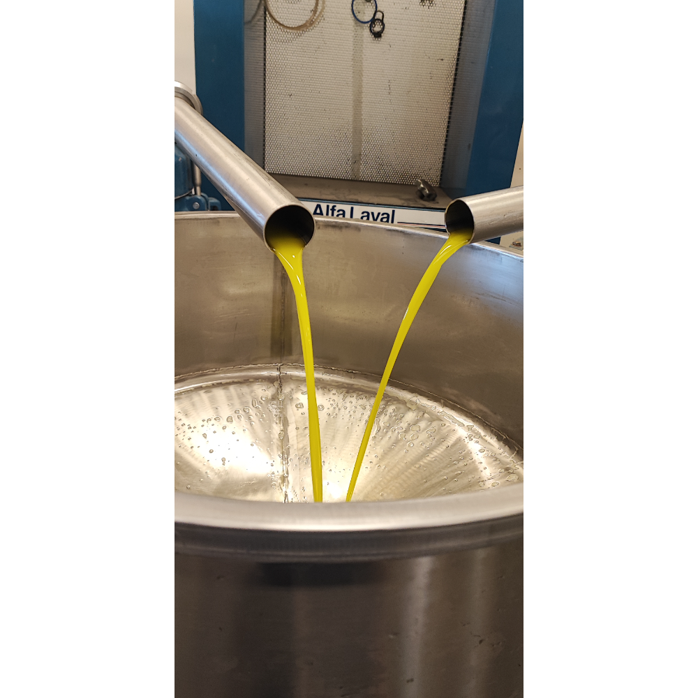 Olio Extravergine di Oliva Biologico Calabrese - Pet da 1 Litro