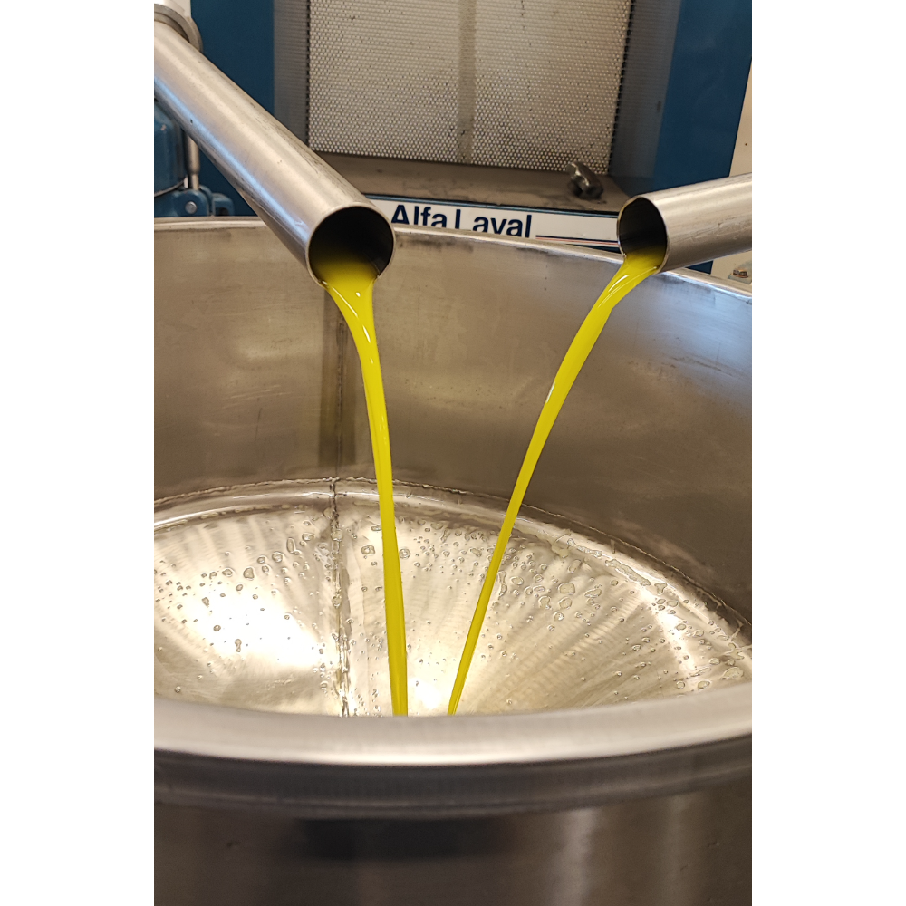 Olio Extravergine di Oliva Italiano Biologico Estratto a Freddo - 50 cl