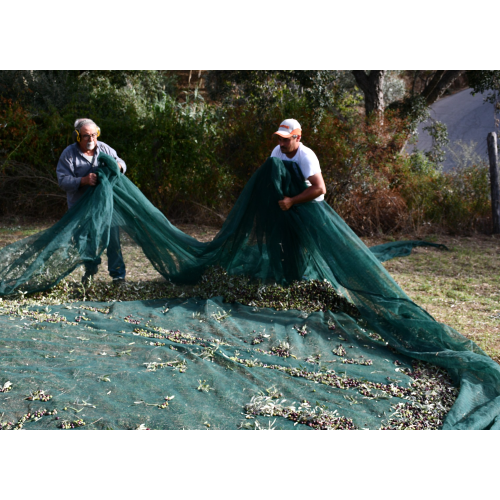 Olio Extravergine di Oliva Italiano Biologico Estratto a Freddo - Bottiglia in Ceramica da 50 cl